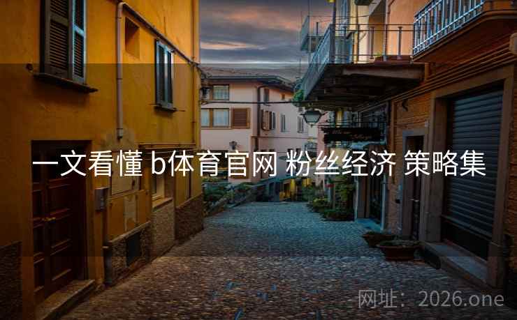 一文看懂 b体育官网 粉丝经济 策略集