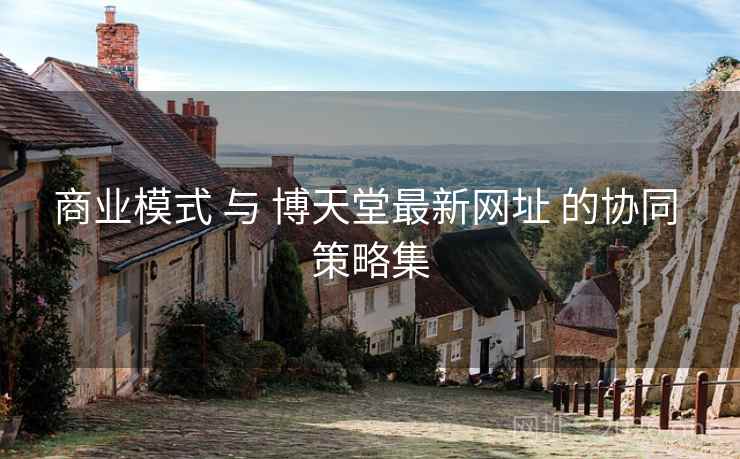 商业模式 与 博天堂最新网址 的协同 策略集
