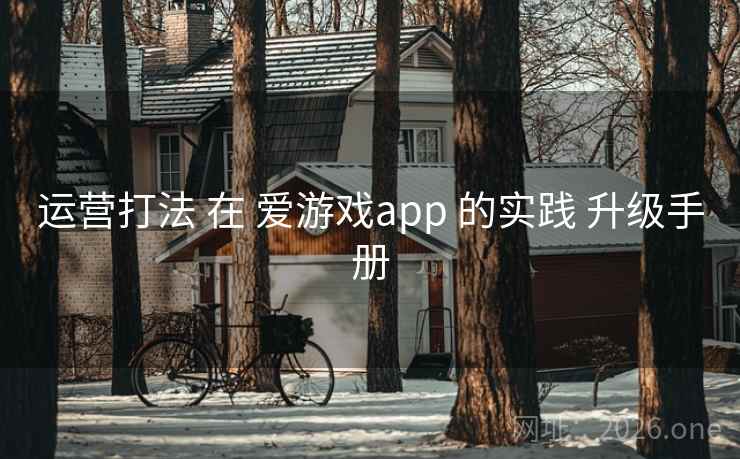 运营打法 在 爱游戏app 的实践 升级手册