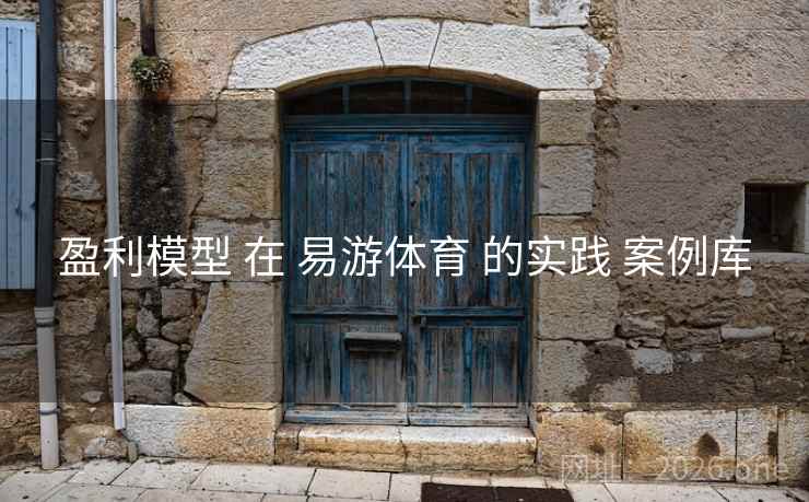 盈利模型 在 易游体育 的实践 案例库