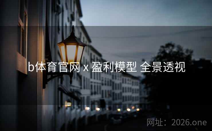 b体育官网 x 盈利模型 全景透视