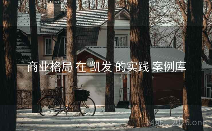 商业格局 在 凯发 的实践 案例库