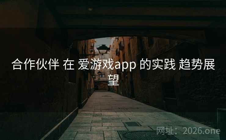 合作伙伴 在 爱游戏app 的实践 趋势展望
