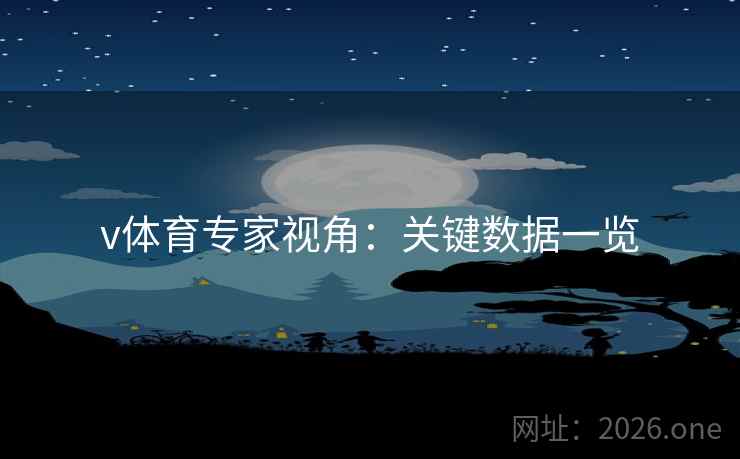 v体育专家视角：关键数据一览