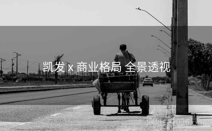 凯发 x 商业格局 全景透视