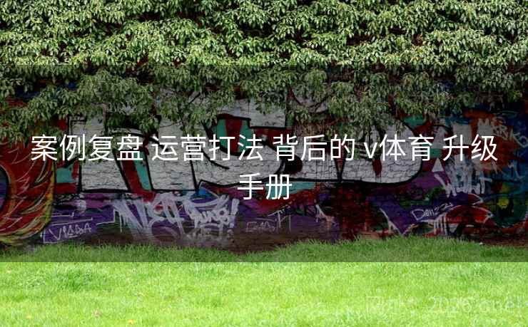 案例复盘 运营打法 背后的 v体育 升级手册