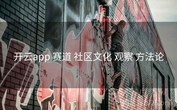 开云app 赛道 社区文化 观察 方法论