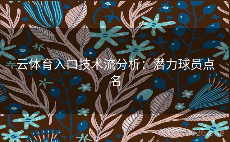 云体育入口技术流分析：潜力球员点名